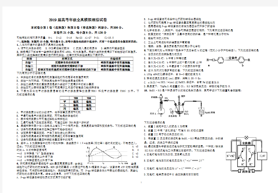 (word完整版)2019年高考模拟理综试卷及答案