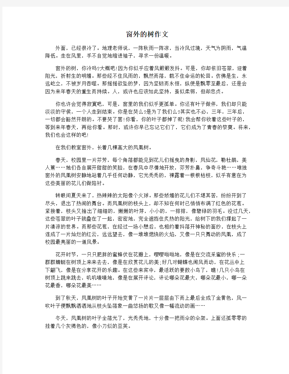 窗外的树作文