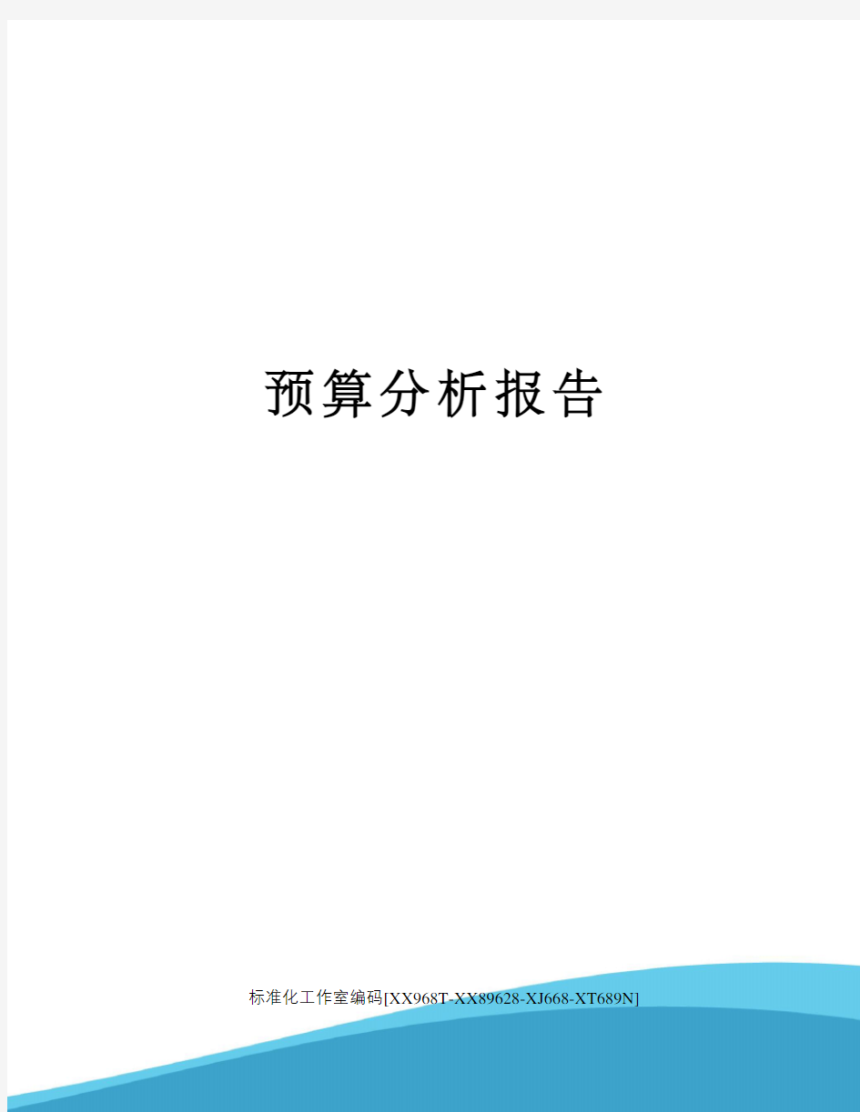 预算分析报告