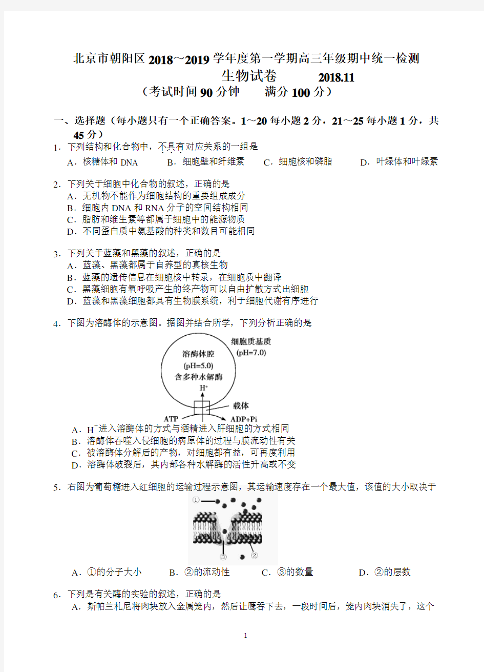 2018-2019学年度第一学期朝阳区高三生物期中试题(含答案)