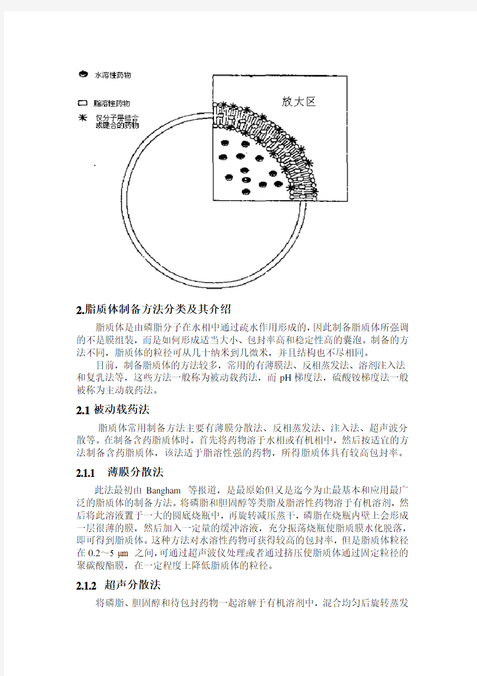 脂质体及其制备方法的选择