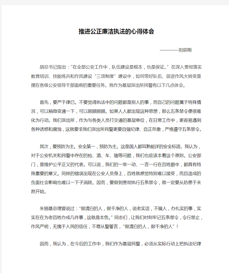 推进公正廉洁执法的心得体会