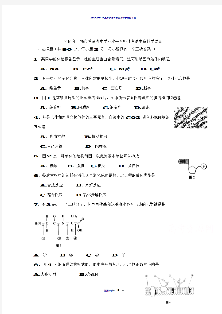 2016年上海市普通高中学业水平合格性考试生物试卷考】