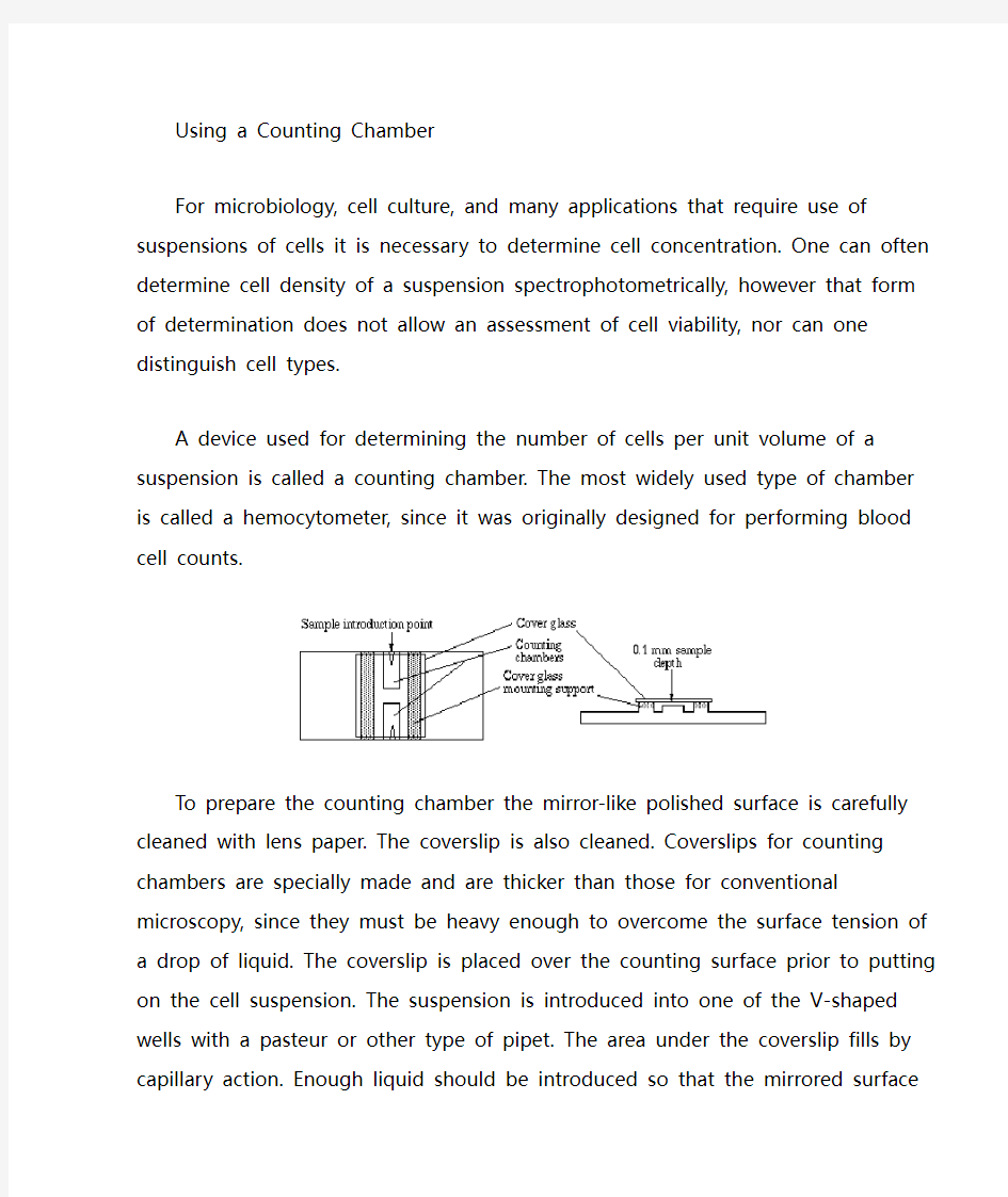 Counting Chamber 血球计数板 细胞计数方法