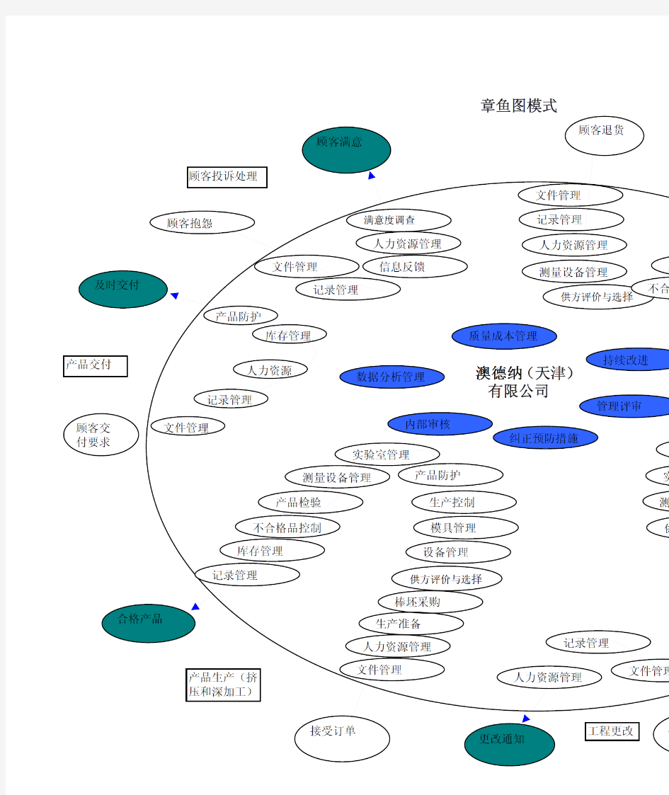 质量管理体系 各过程 章鱼图