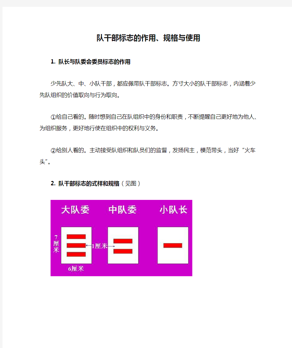 队干部标志的作用、规格与使用