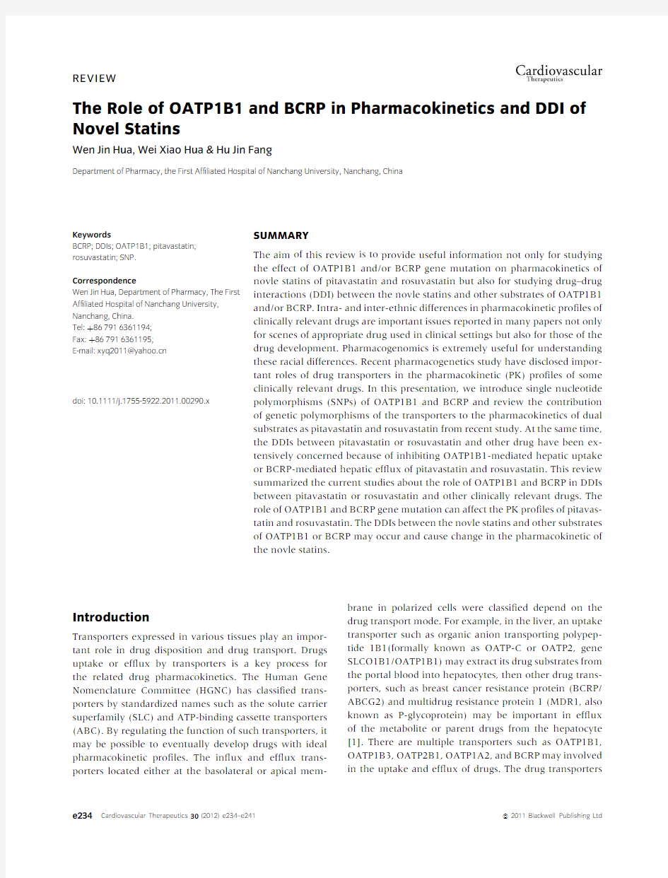 The role of OATP1B1 and BCRP in pharmacokinetics and DDI of novel statins