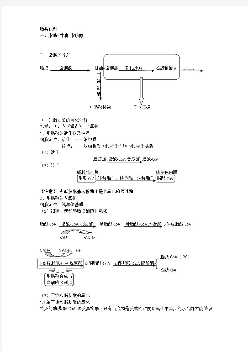 脂肪代谢总结