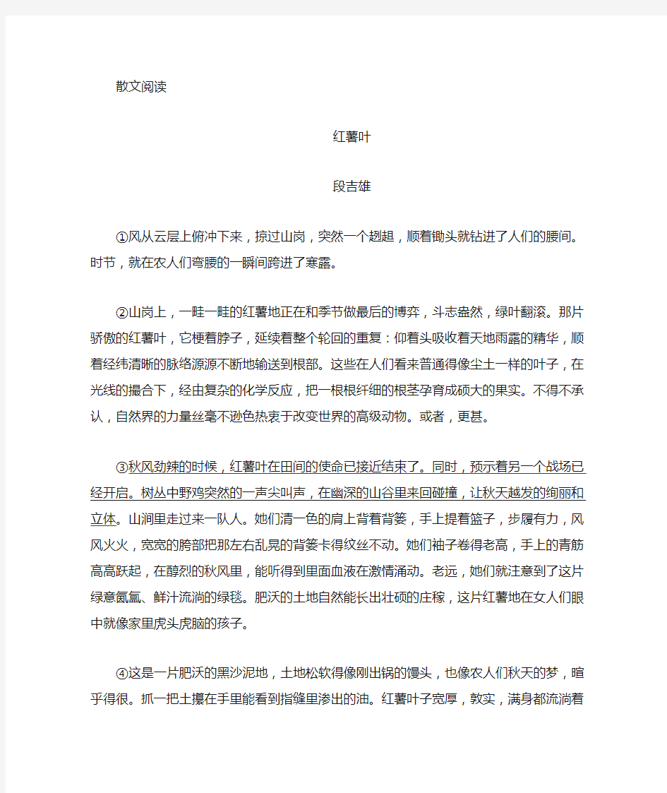 《红薯叶》阅读练习及答案