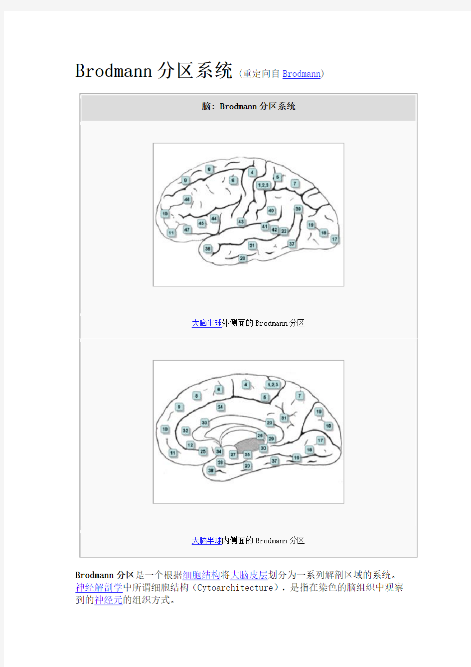 Brodmann分区系统