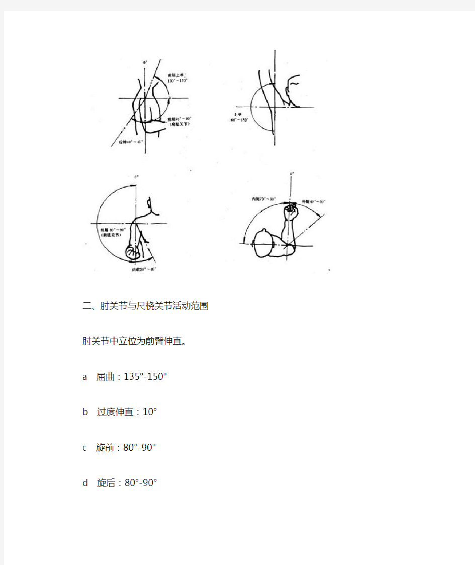 正常人体关节活动度