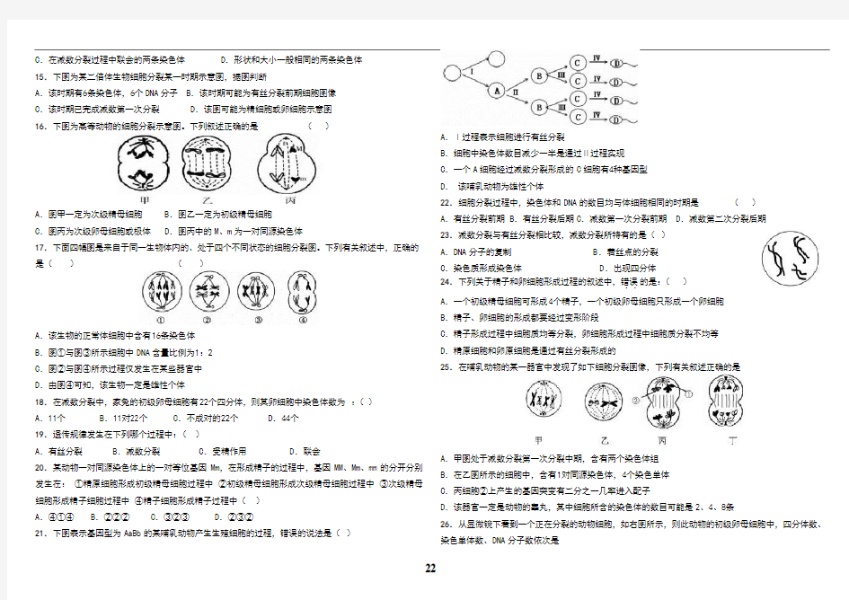 减数分裂经典习题