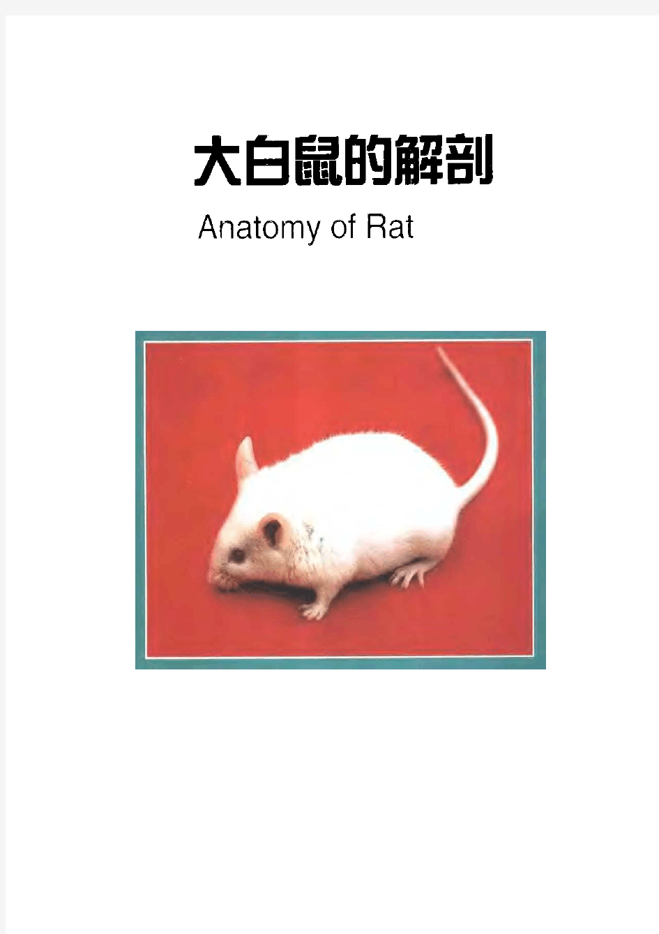 大鼠的解剖图谱