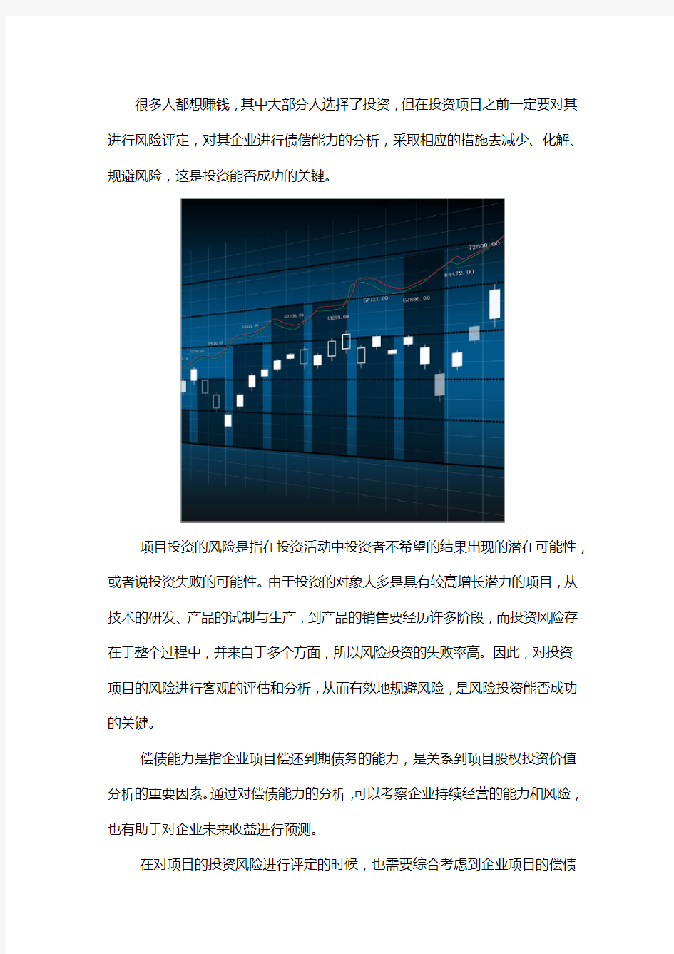 项目未来收益及偿债能力分析报告