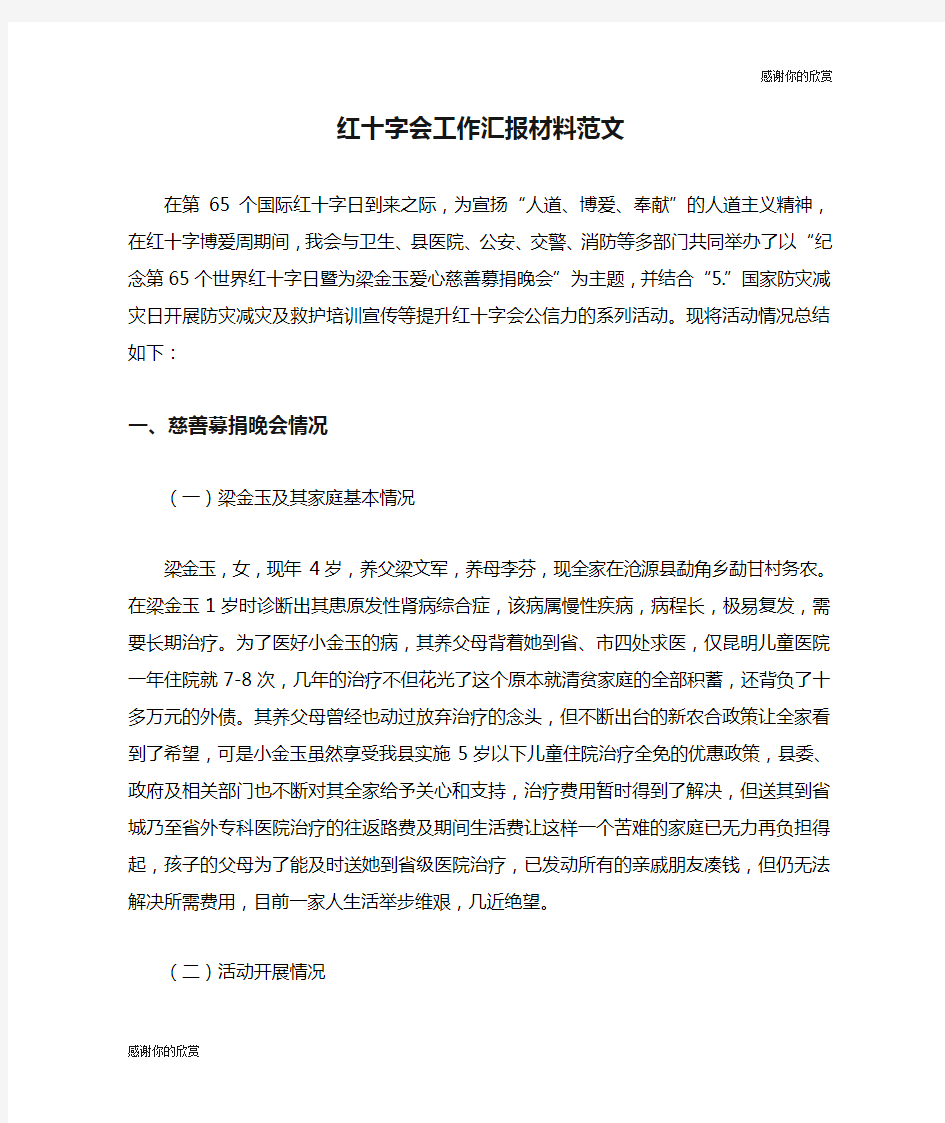 红十字会工作汇报材料范文.doc