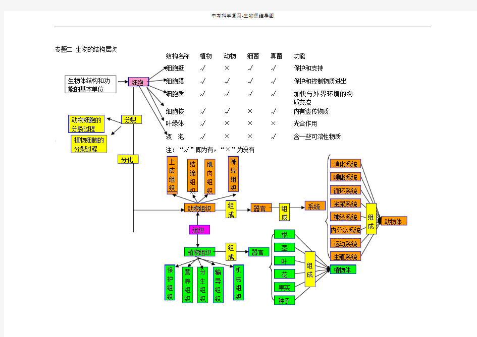 中考科学复习-生物思维导图(最新整理)