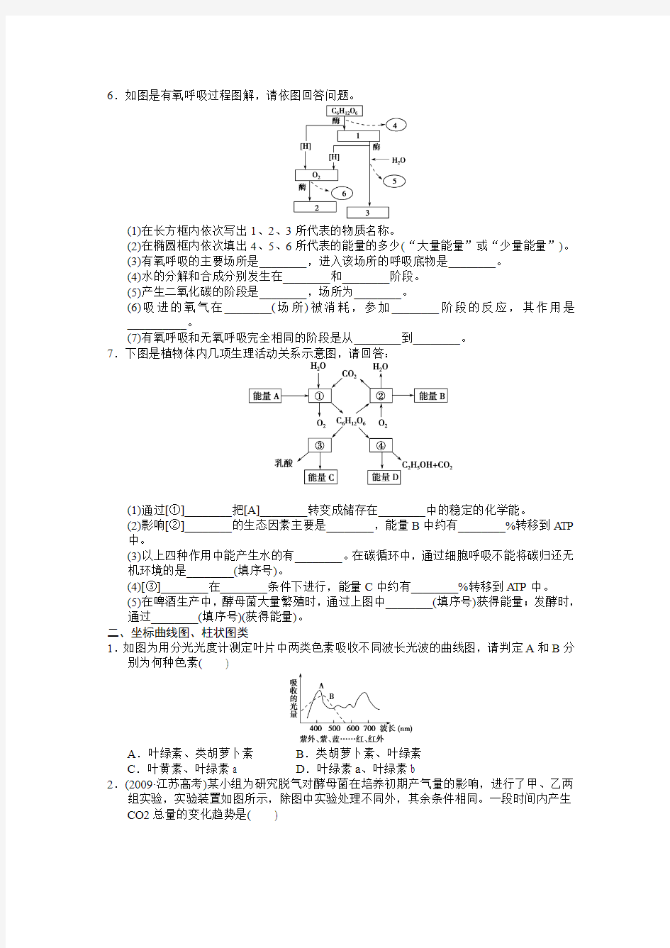 -武汉华英艺考艺术生文化课光合作用与呼吸作用相关题型专训