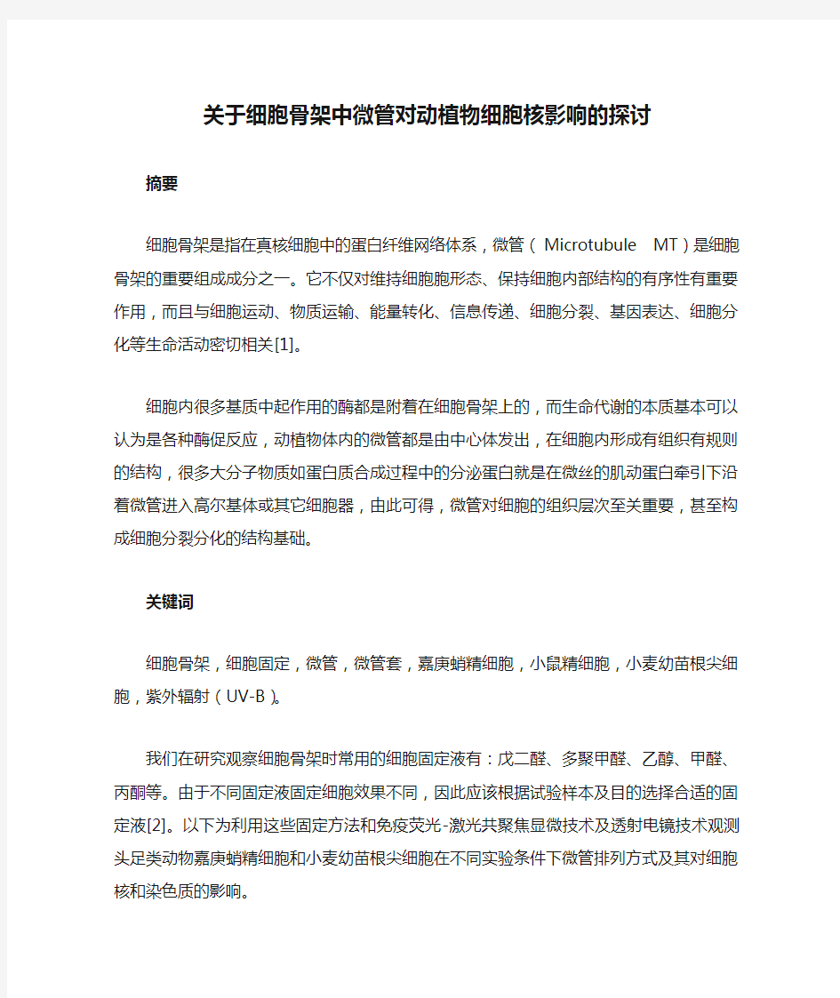 关于细胞骨架中微管对动植物细胞核影响的探讨