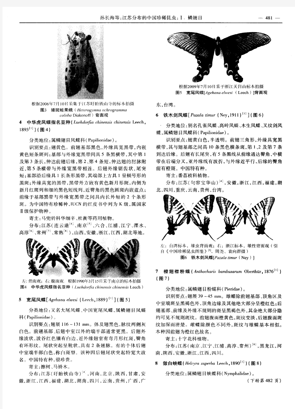 江苏分布的中国珍稀昆虫：Ⅰ.鳞翅目