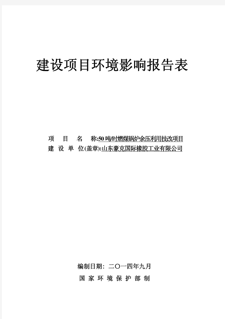 50th燃煤锅炉余压利用技改项目-表