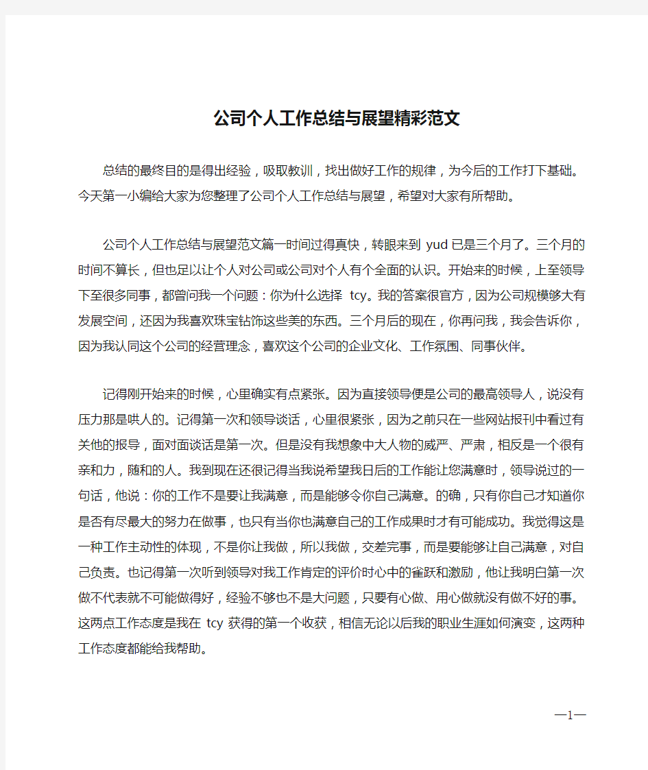 公司个人工作总结与展望精彩范文