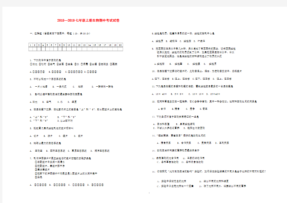 2018--2019七年级上册生物期中考试试卷