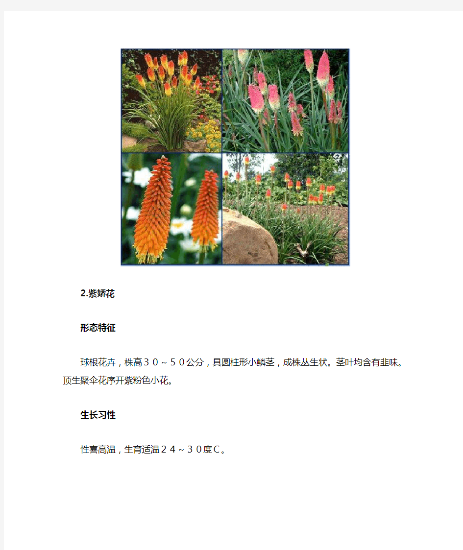 100种花镜植物、有解析和图片