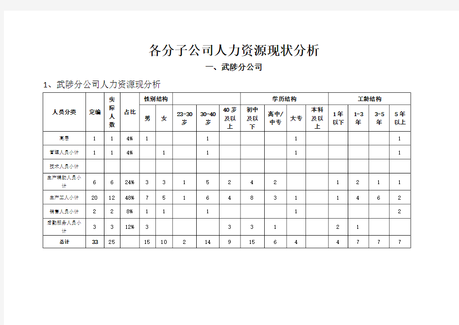 分公司人力资源现状分析报告