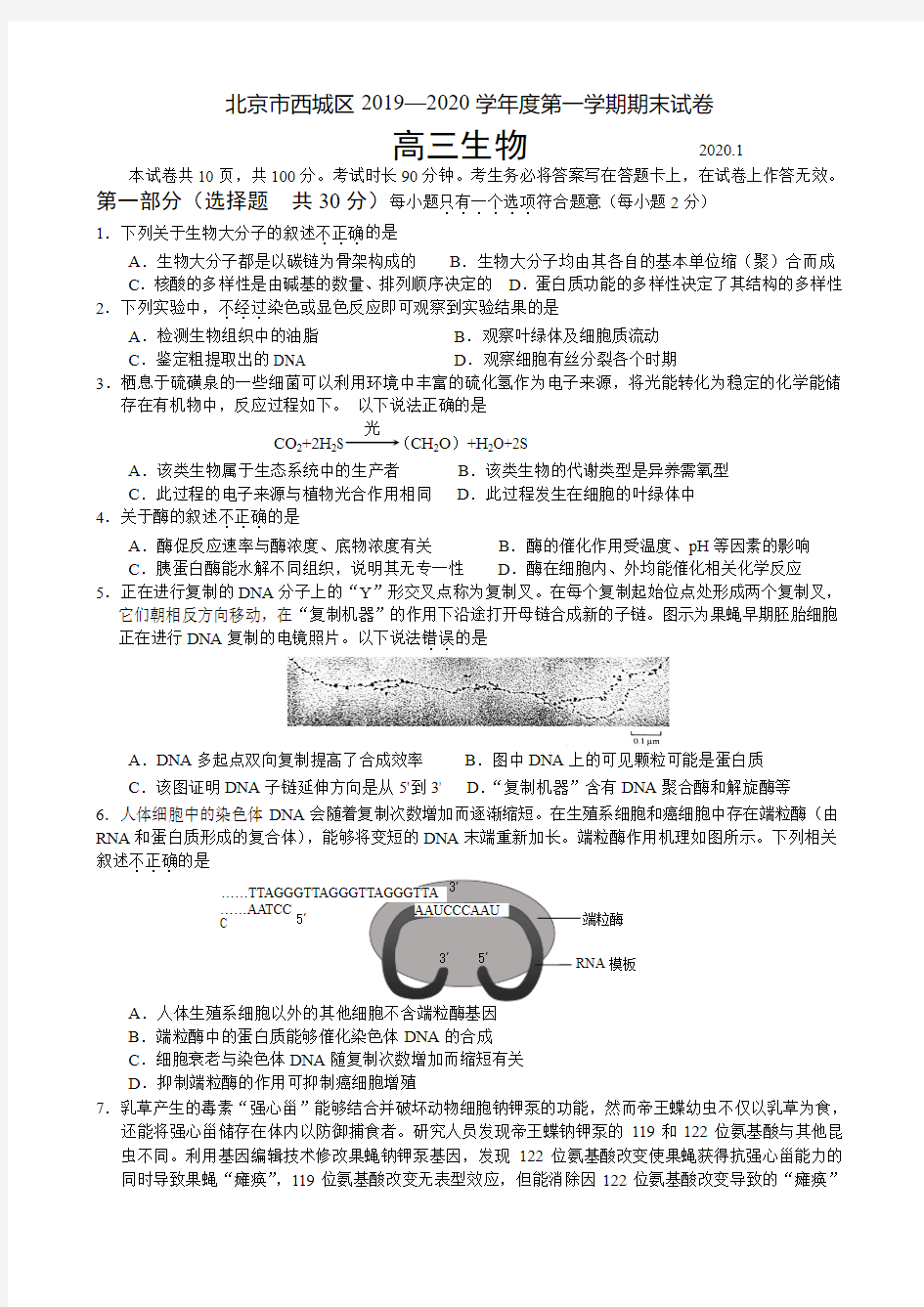 2020年1月西城区高三生物期末