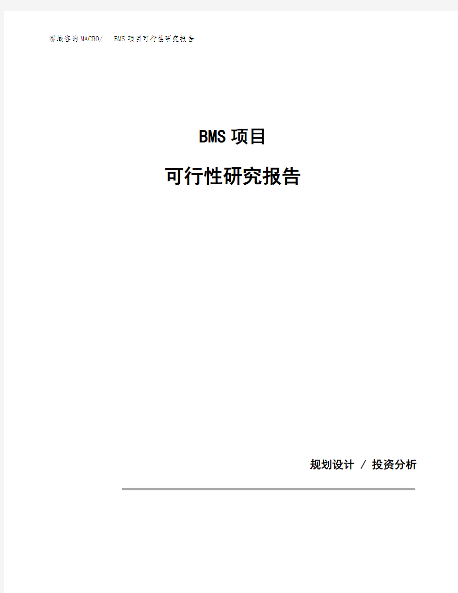 BMS项目可行性研究报告(规划设计模板)