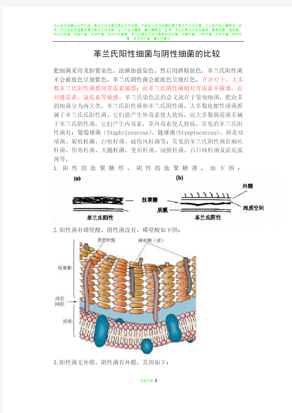 革兰氏阳性菌和革兰氏阴性菌的区别86089