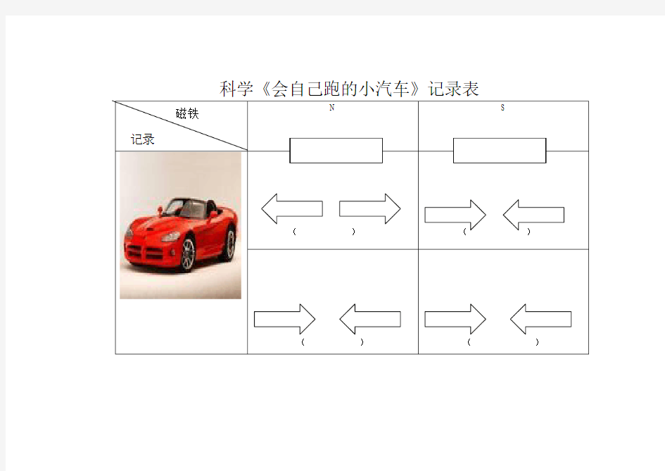 大班科学活动记录表