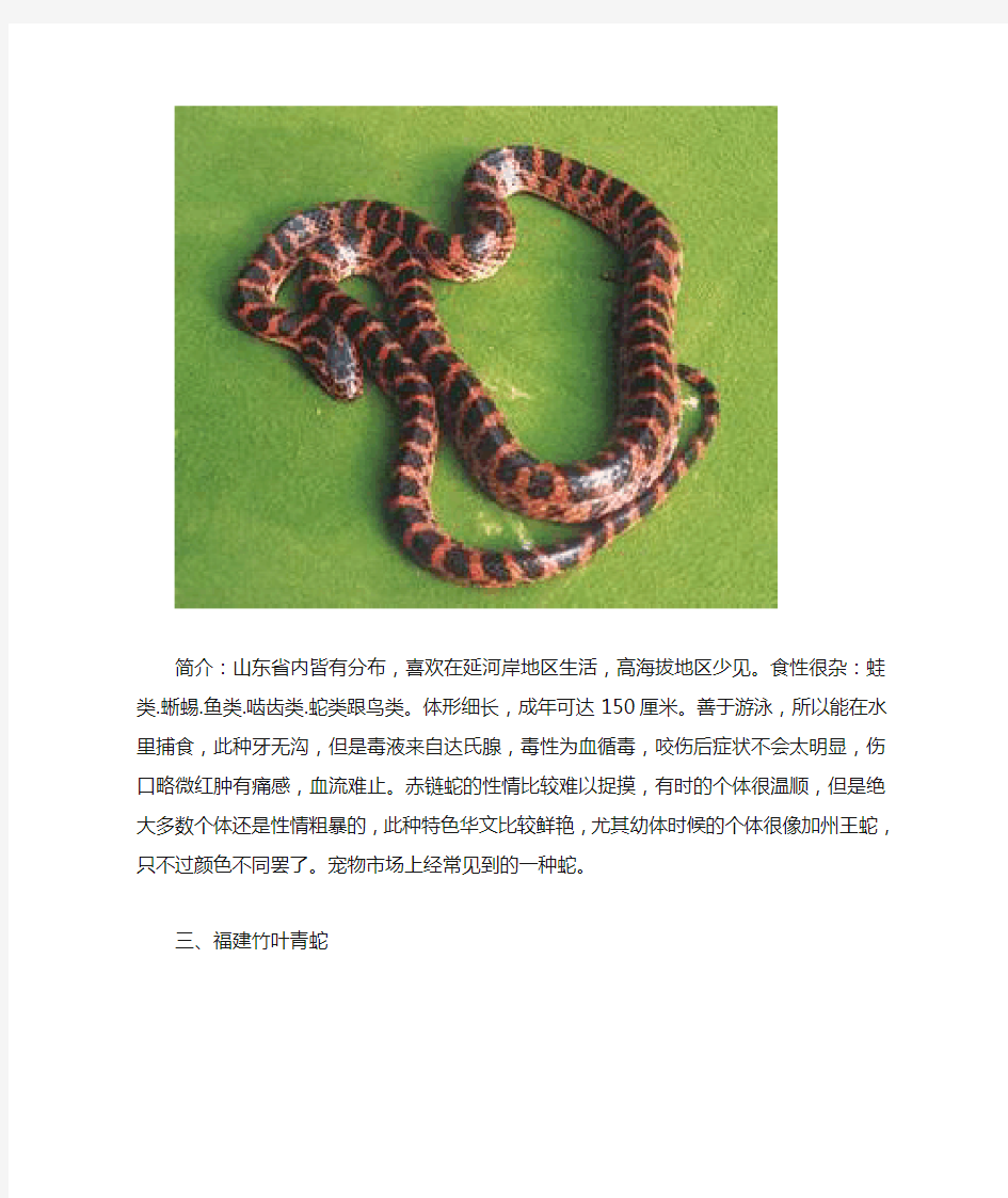 珍藏-山东常见的蛇类