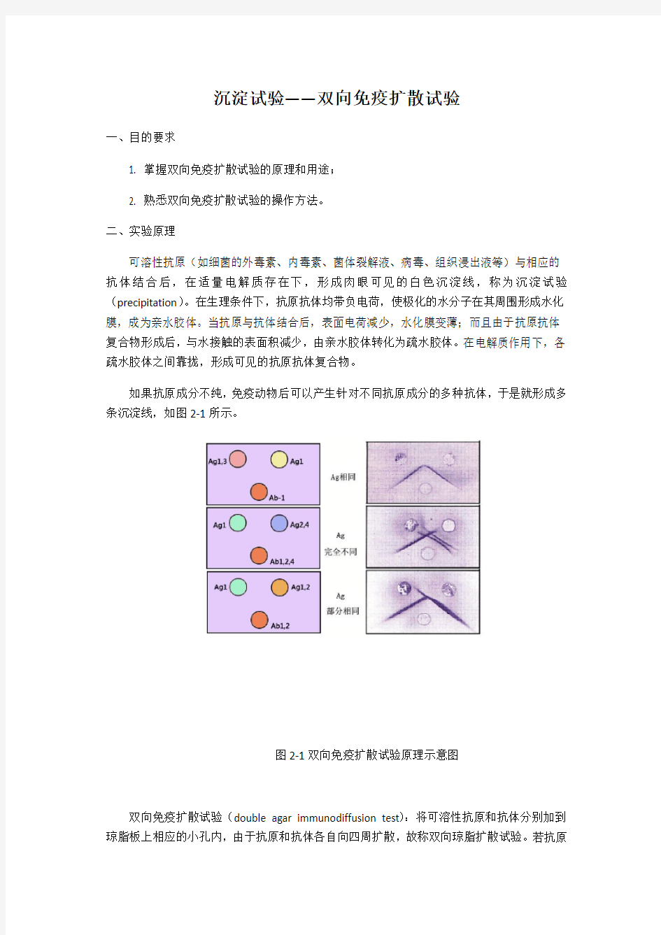 沉淀试验-双向免疫扩散