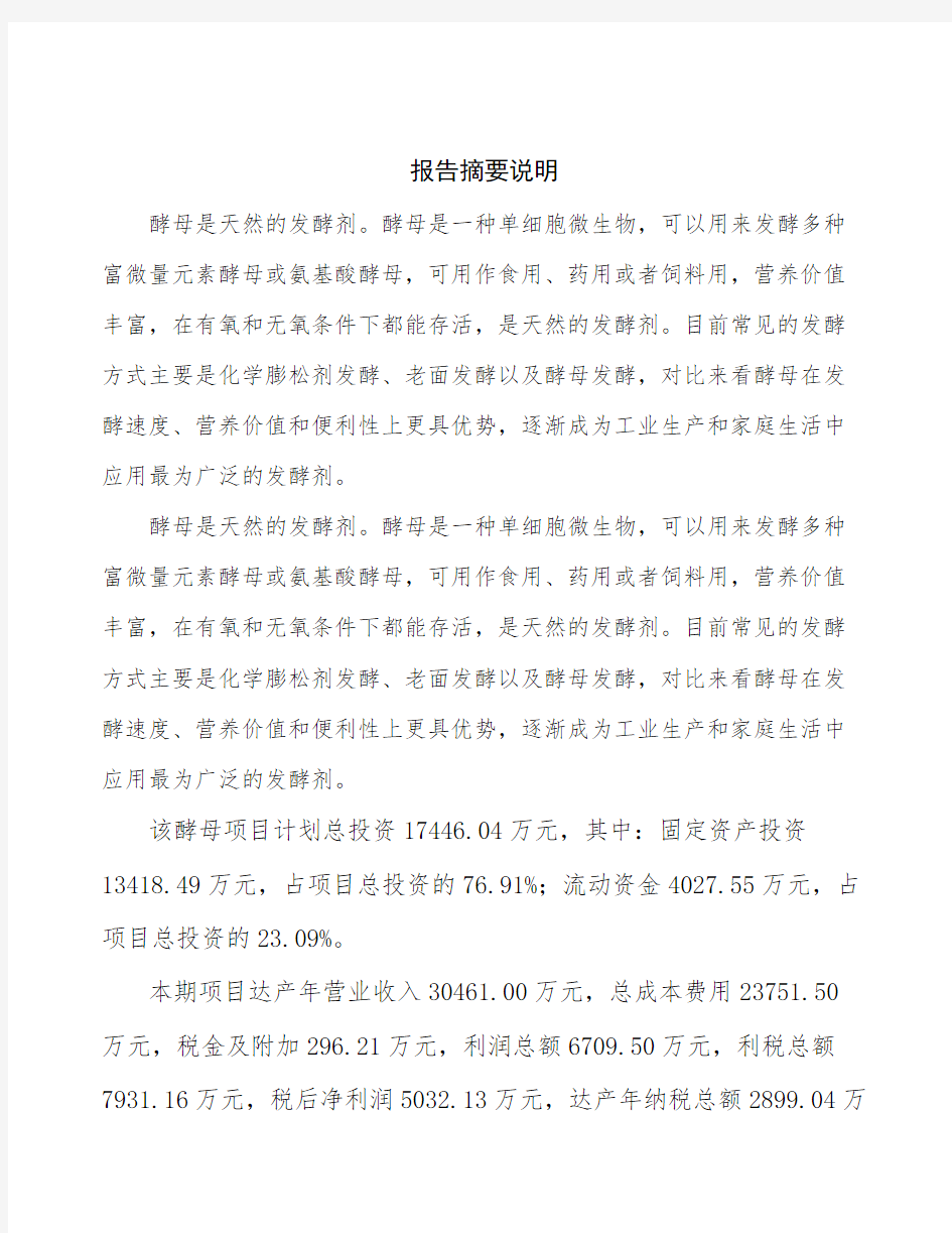 南京xx生产加工项目可行性研究报告