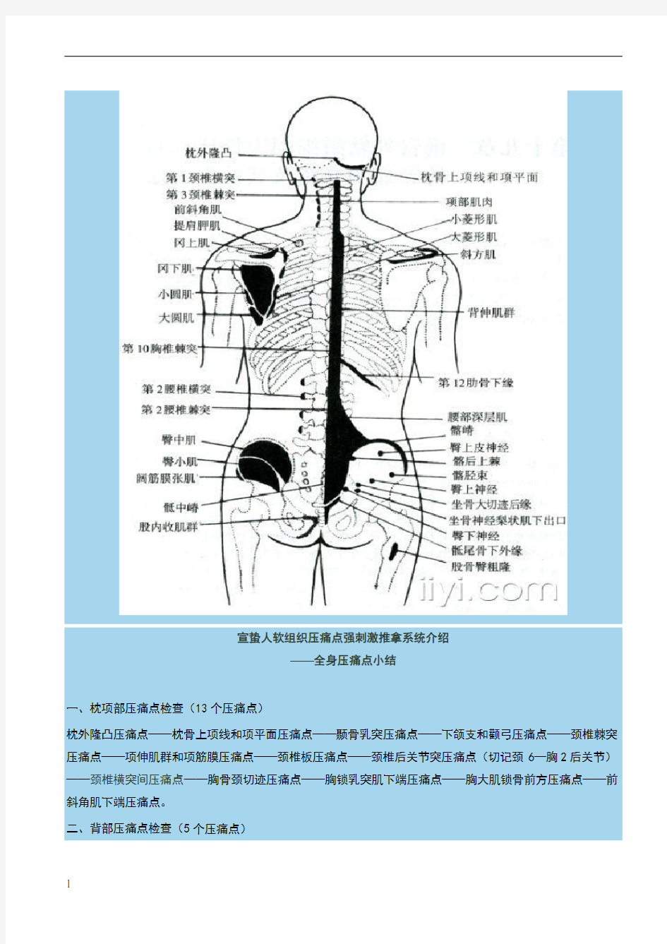 宣蛰人软组织疼痛强刺激推拿压痛点(解剖图)