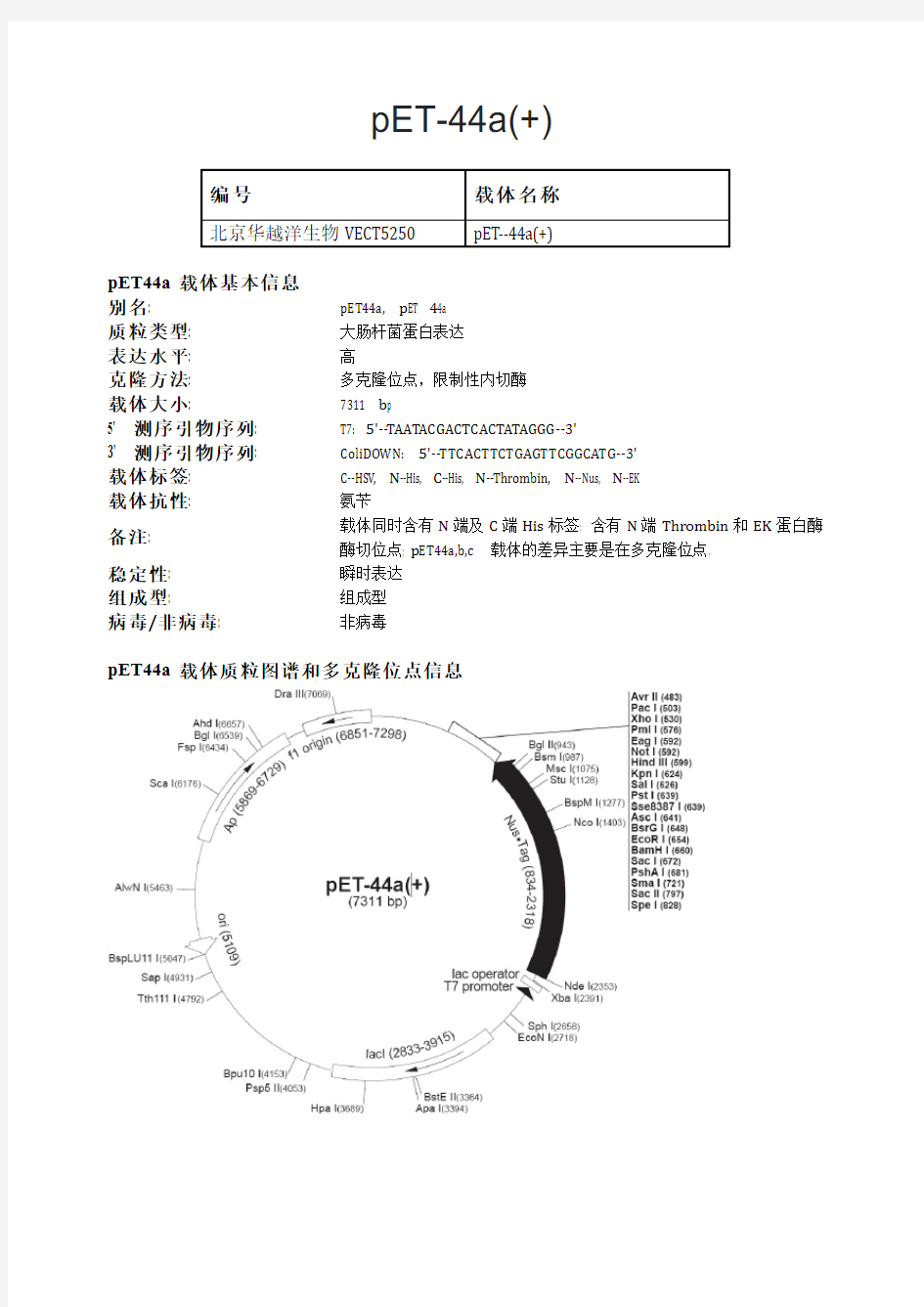 pET-44a(+)大肠杆菌表达载体说明