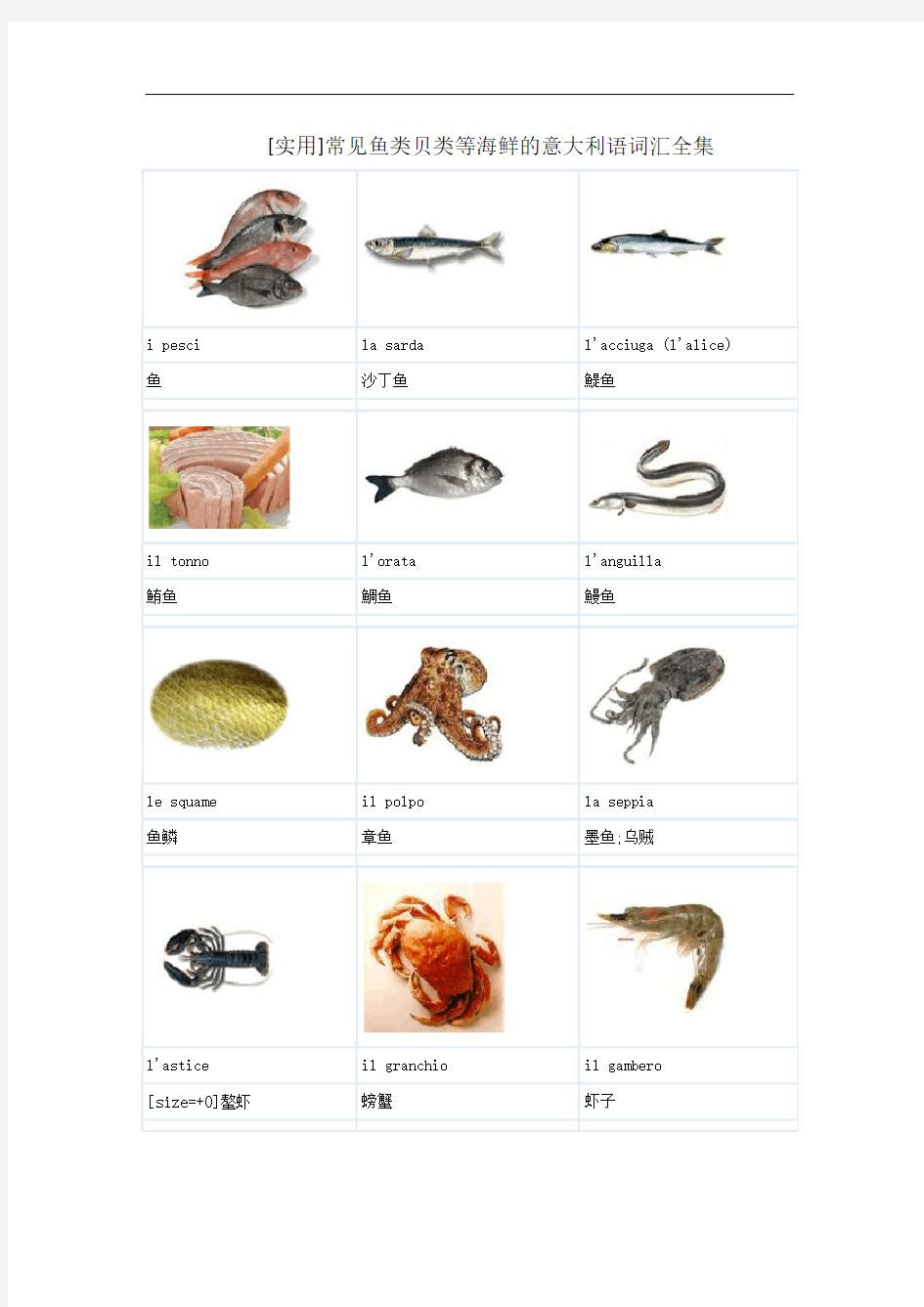 [实用]常见鱼类贝类等海鲜的意大利语词汇全集