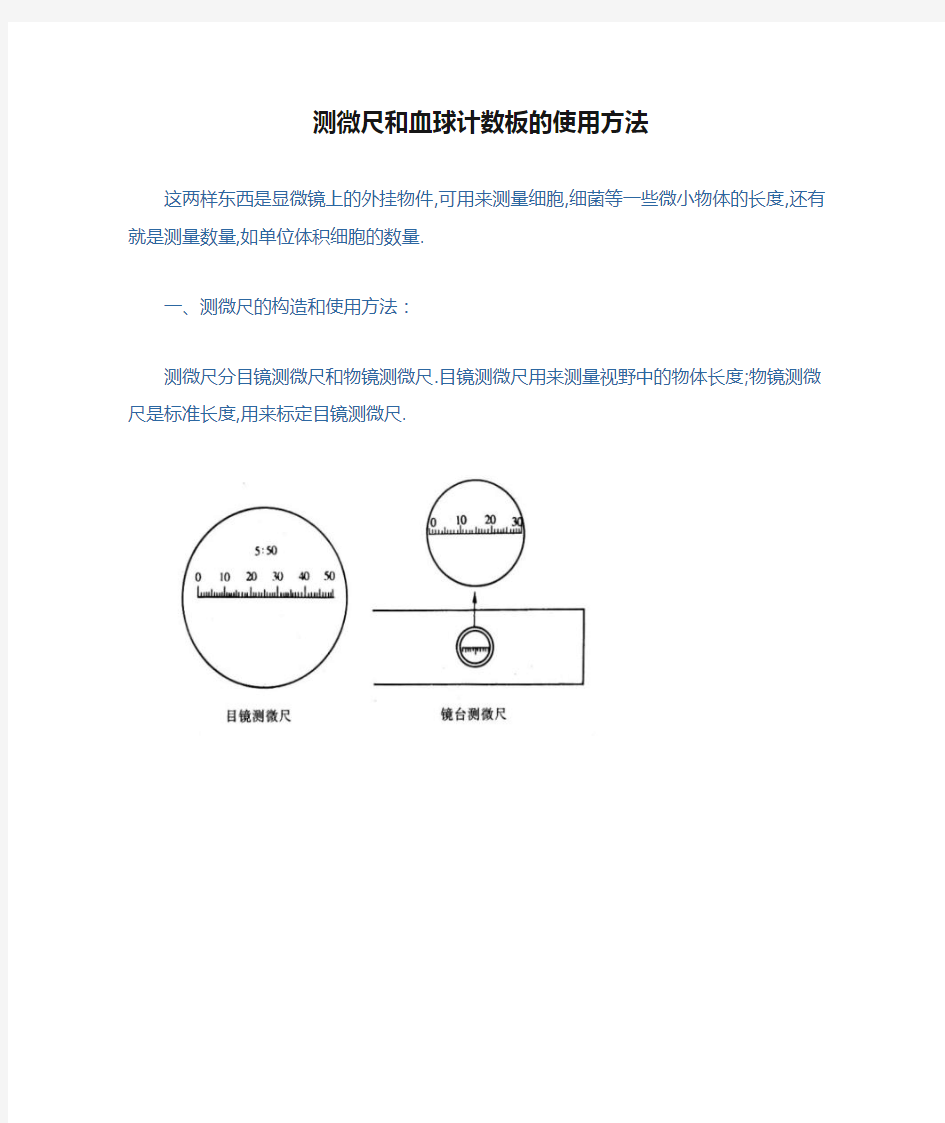 测微尺和血球计数板的使用方法