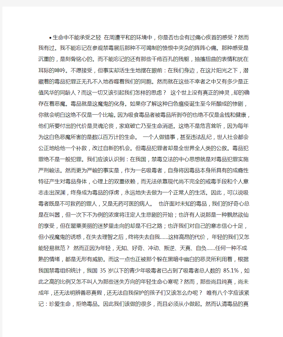 关于禁毒的作文500字