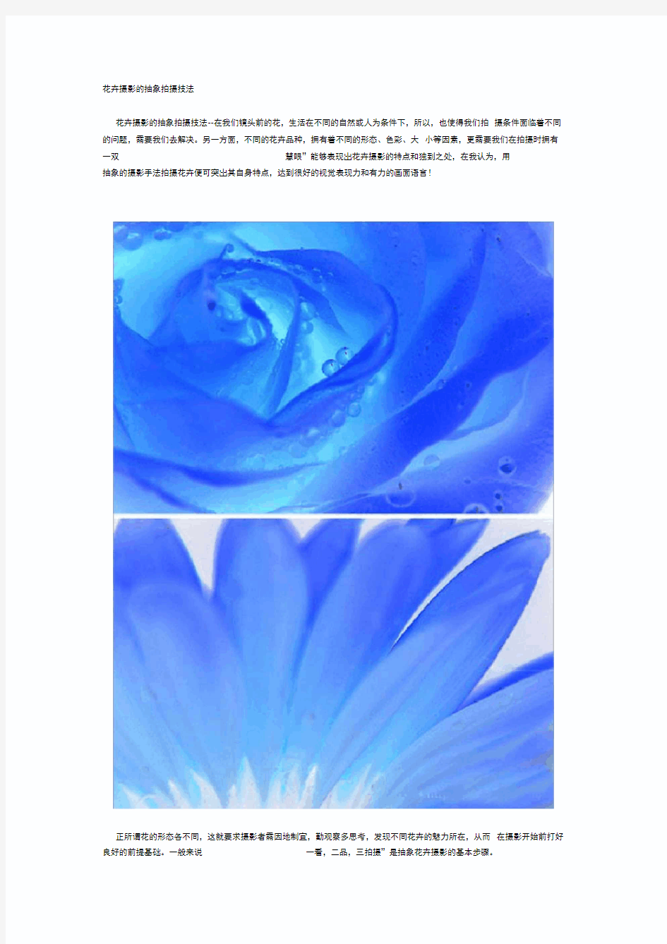 花卉摄影的抽象拍摄技法