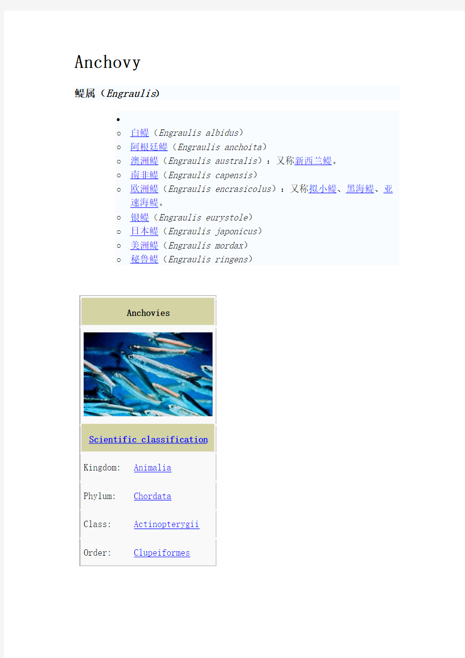 Anchovy(凤尾鱼英文简介)