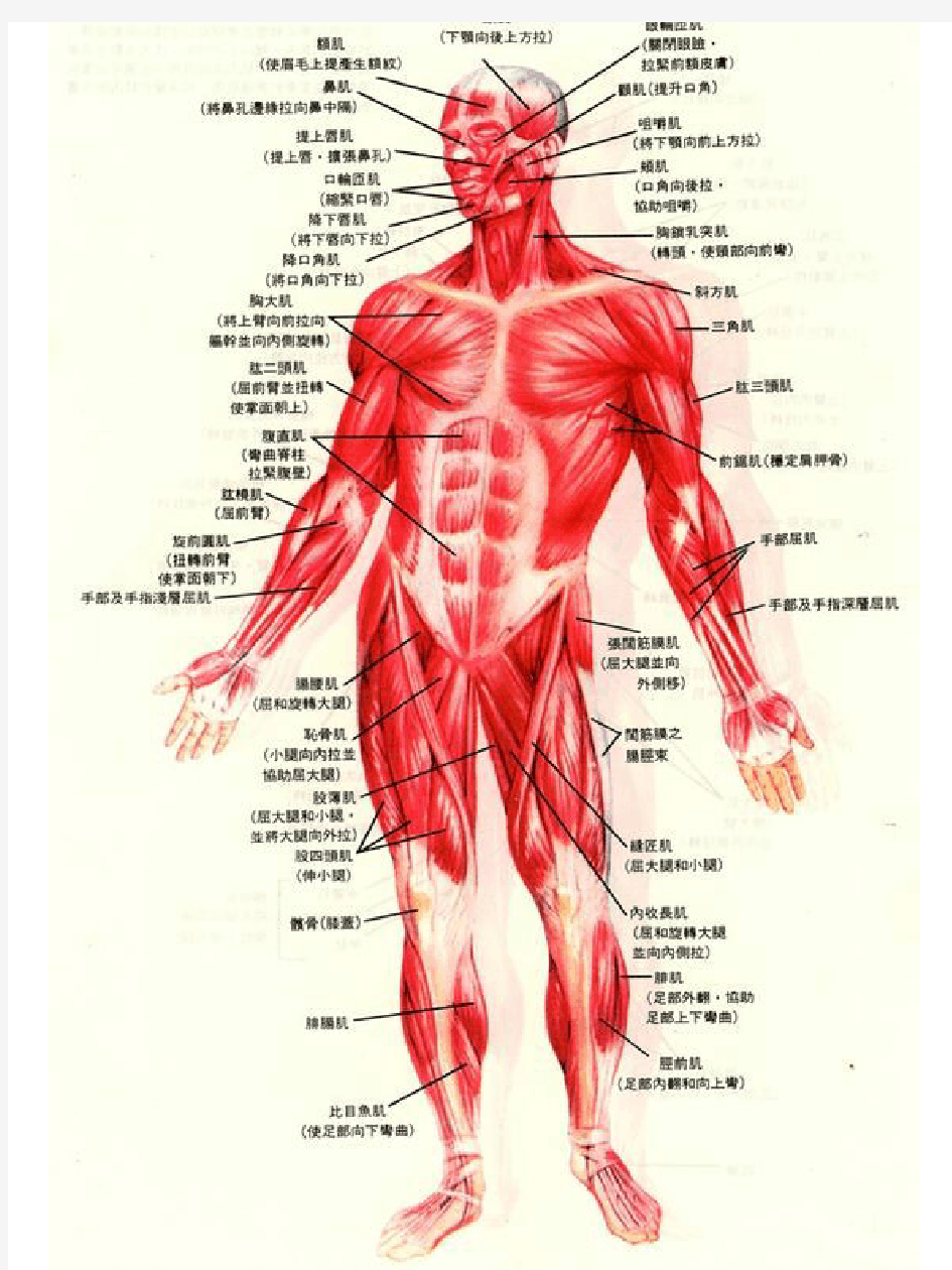 图解哑铃健身(超详细)