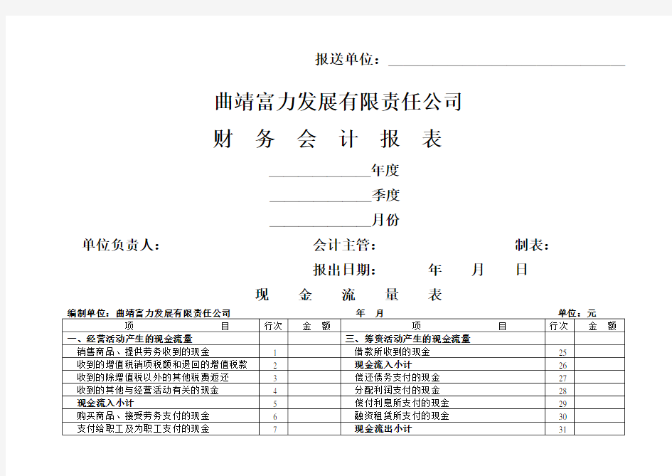 公司空白财务报表