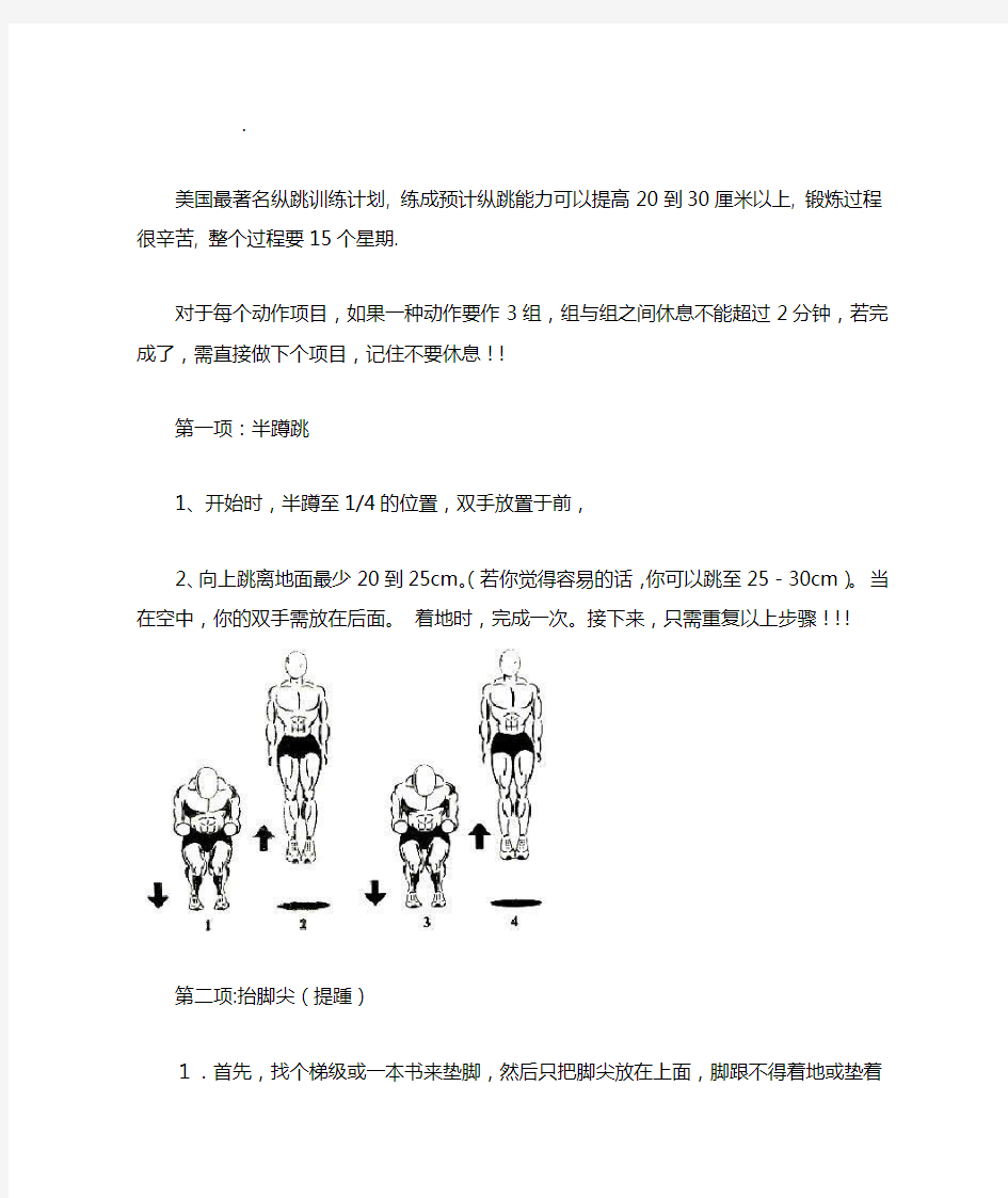 美国著名弹跳力训练附图