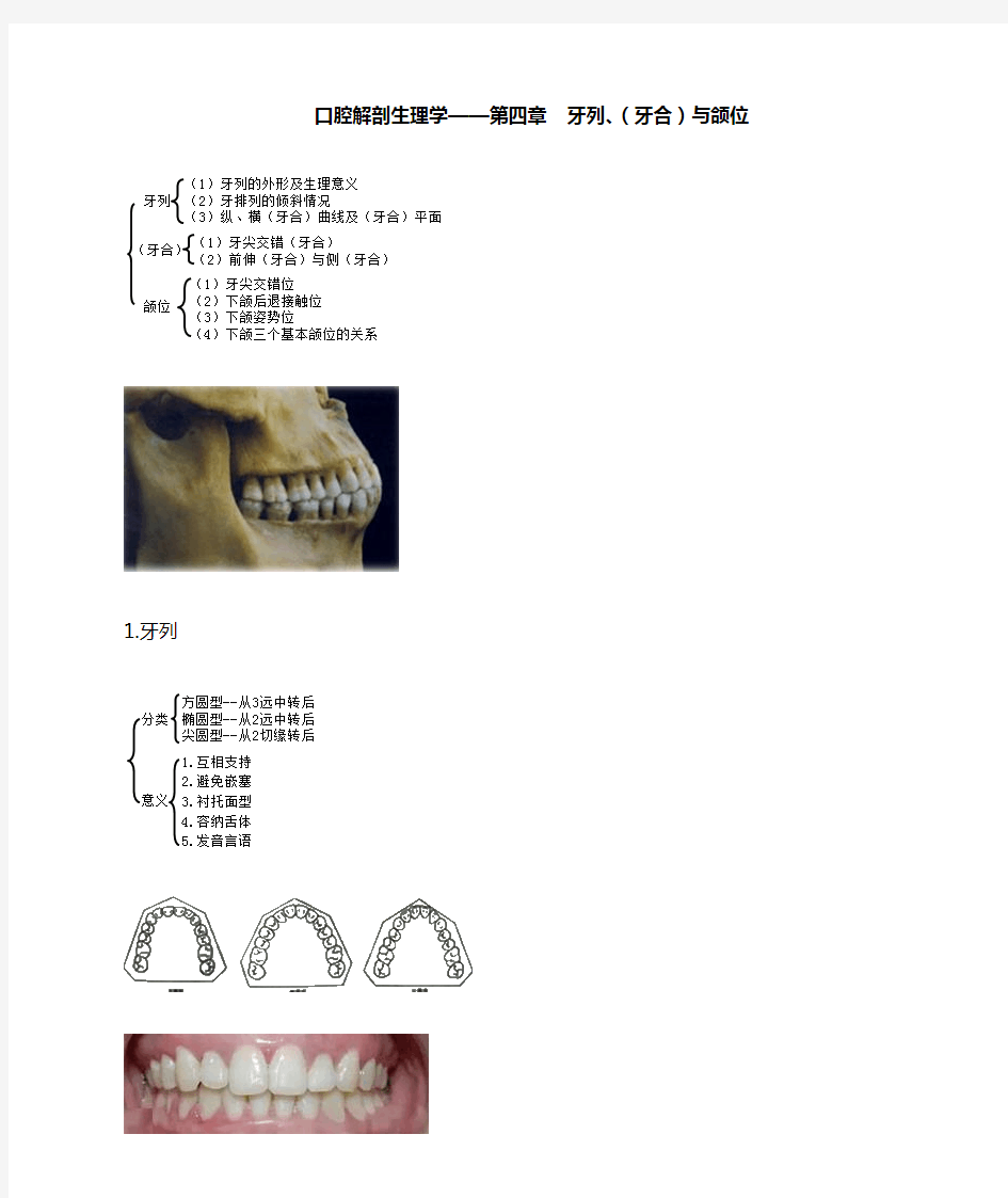 口腔解剖生理学—牙列、(牙合)与颌位考点总结
