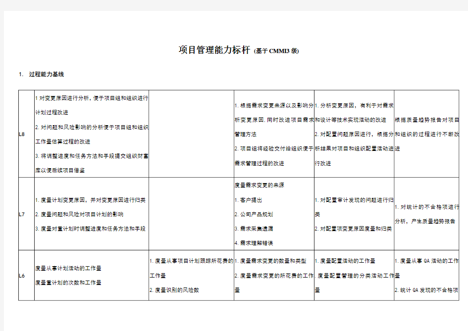 项目管理能力