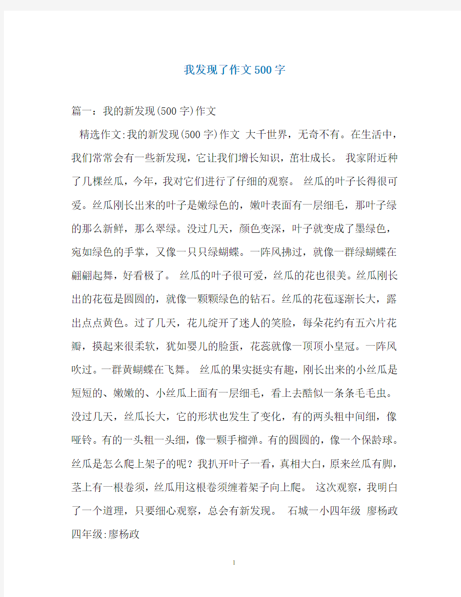 我发现了作文500字