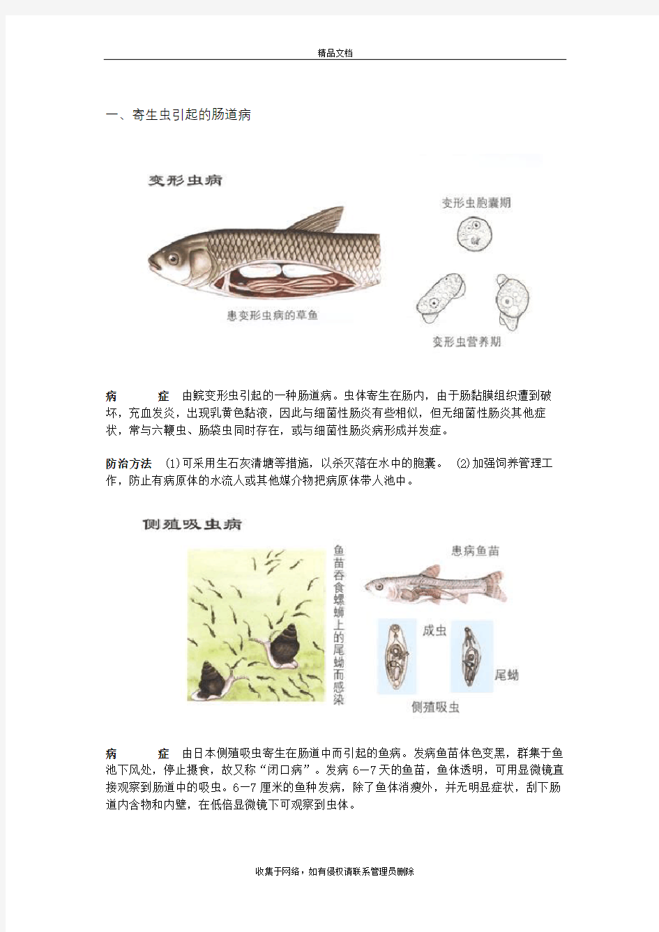 常见淡水鱼病彩色图谱上课讲义