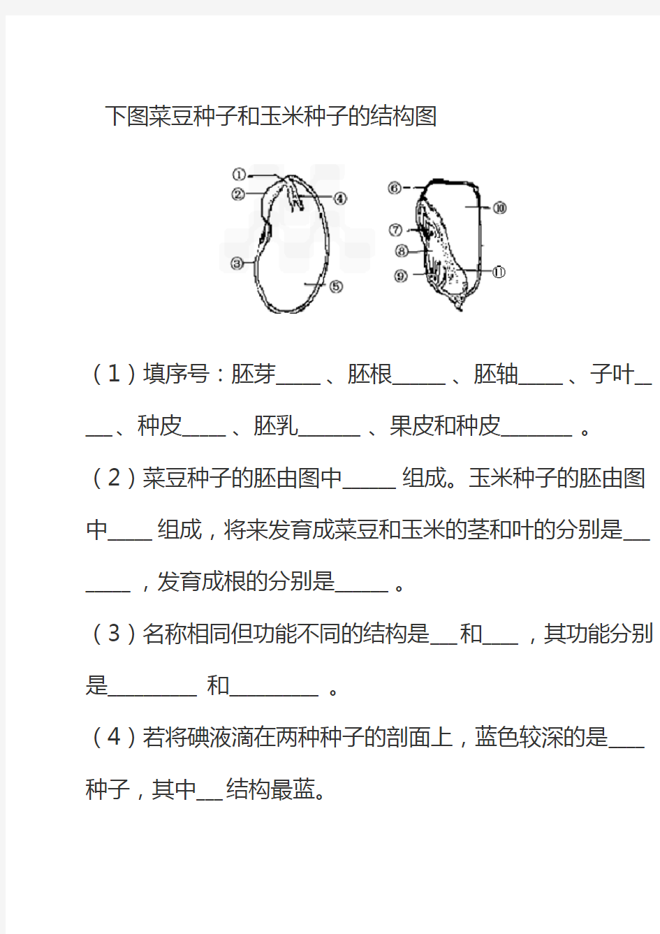 下图菜豆种子和玉米种子的结构图